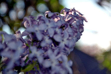 Similar image 22244580