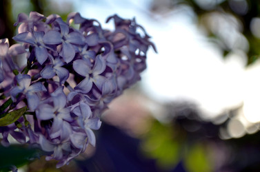 Similar image 22244581