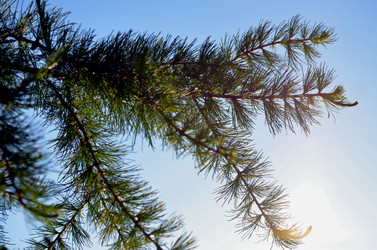 Similar image 22244582