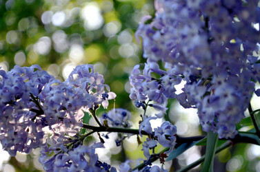 Similar image 22244584