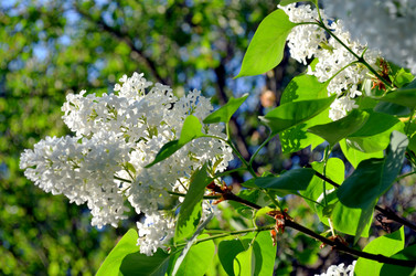 Similar image 22244585