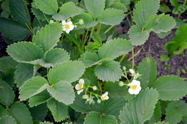 Similar image 22244588