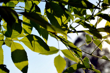 Similar image 22244589