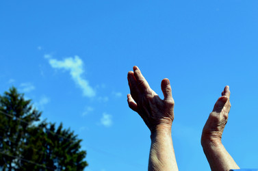 Similar image 22244590