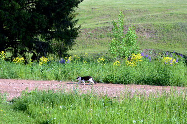 Similar image 22244591