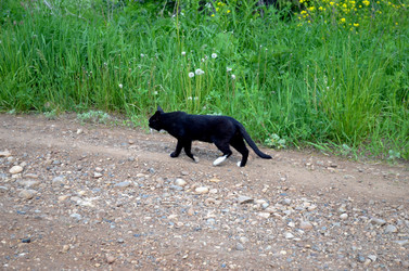 Similar image 22244592