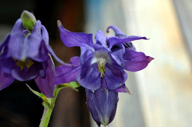 Similar image 22244593