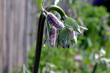 Similar image 22244594