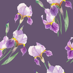 Similar image 22243598