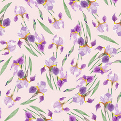 Similar image 22243599