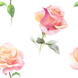 Similar image 22243602