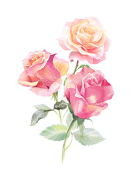 Similar image 22243604