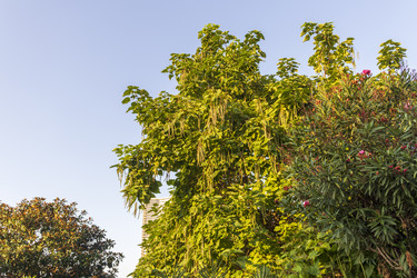 Similar image 22245759