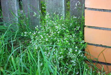 Similar image 22243611