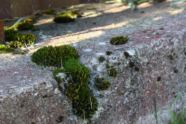 Similar image 22243619