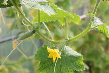 Similar image 22243620