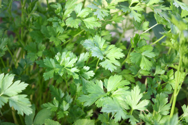 Similar image 22243621