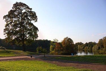 Similar image 22243631