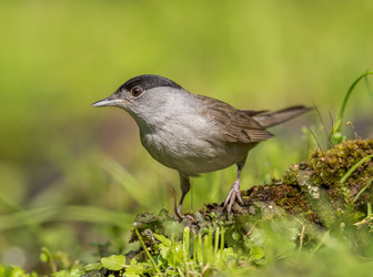 Similar image 22243849