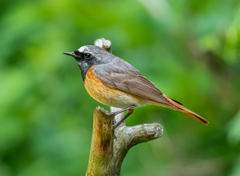 Similar image 22243850