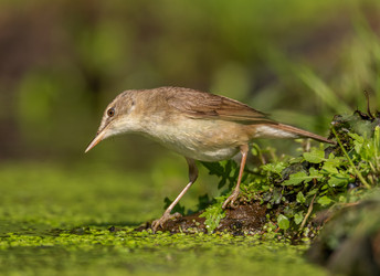 Similar image 22243851