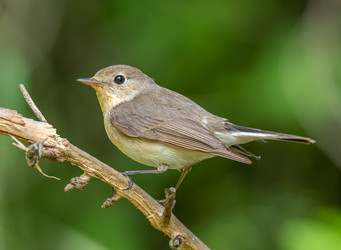 Similar image 22243852