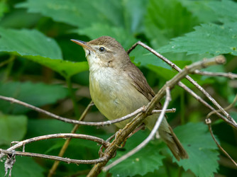 Similar image 22243853