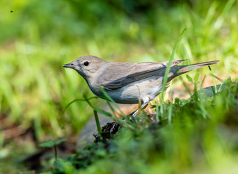 Similar image 22243854