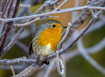 Similar image 22243860