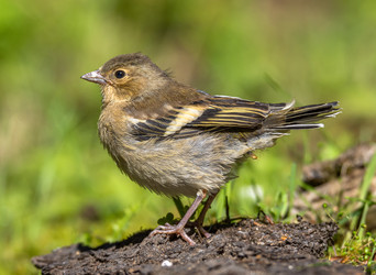 Similar image 22243865