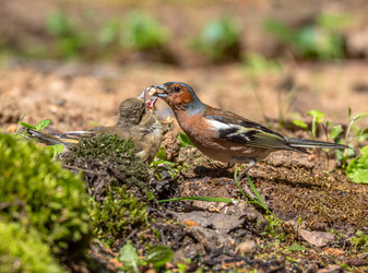 Similar image 22243866