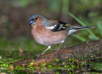 Similar image 22243867