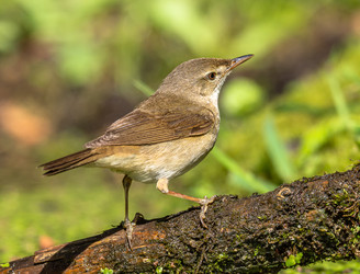 Similar image 22243868