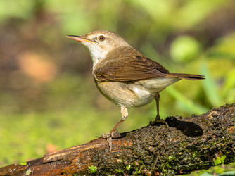 Similar image 22243870