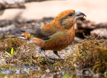 Similar image 22243871