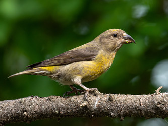 Similar image 22243872