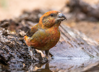 Similar image 22243874