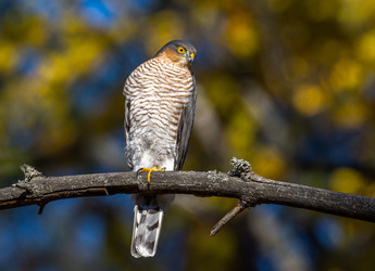 Similar image 22243877