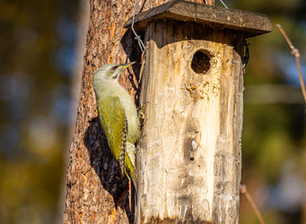 Similar image 22243885