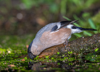 Similar image 22243887