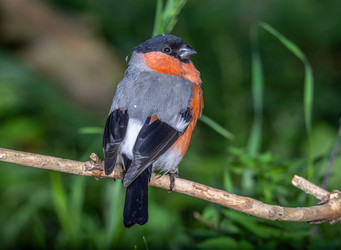 Similar image 22243888