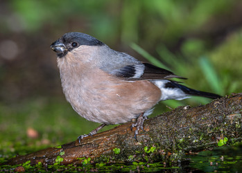 Similar image 22243889