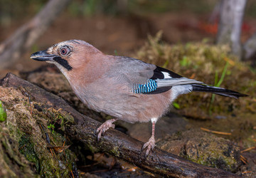 Similar image 22243890