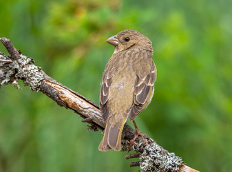 Similar image 22243892