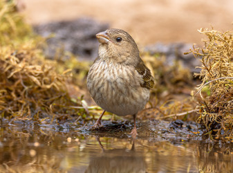 Similar image 22244111