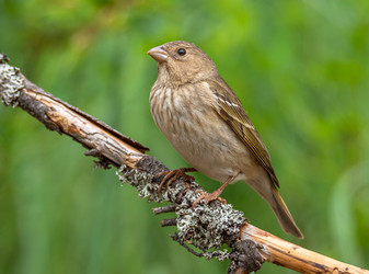 Similar image 22244113