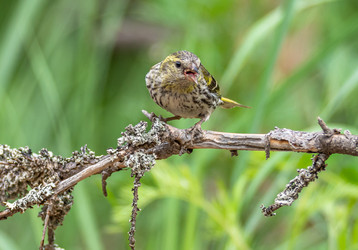 Similar image 22244114