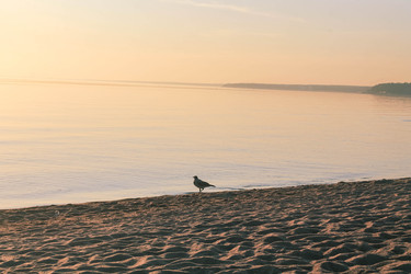 Similar image 22243636