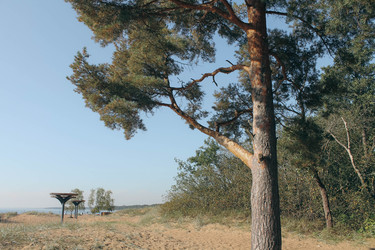 Similar image 22243639