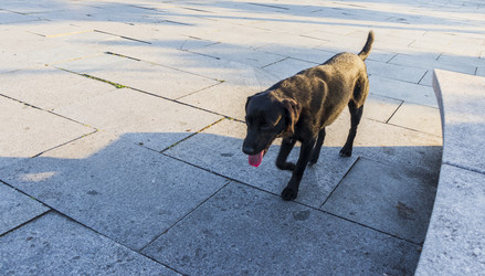 Similar image 22245684